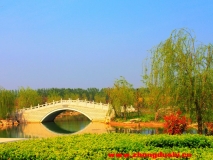 春來(lái)汶上蓮花湖