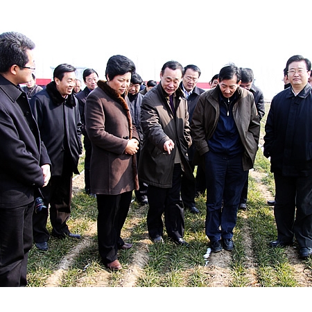 國家農(nóng)業(yè)部副部長陳曉華來汶上縣檢查指導(dǎo)抗旱促春管工作