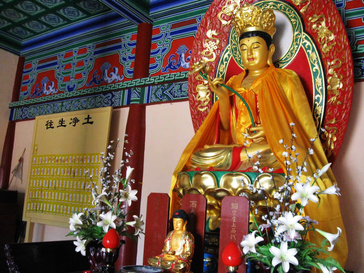 實拍佛都汶上大寶相寺的“悟空佛牙” - 張子涵 - 張子涵的博客