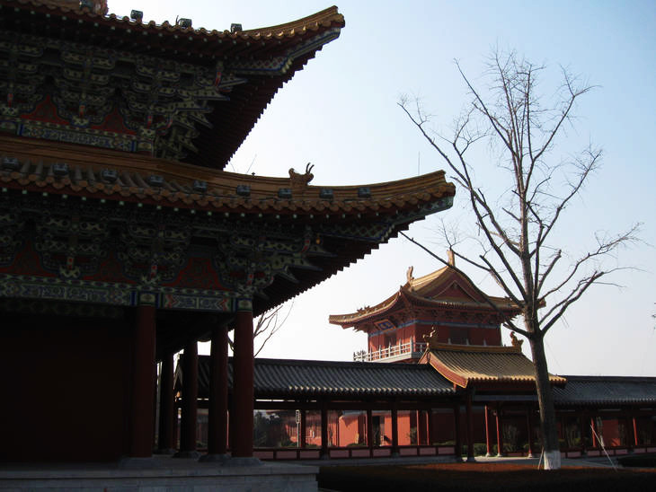 實拍佛都汶上大寶相寺的“悟空佛牙” - 張子涵 - 張子涵的博客