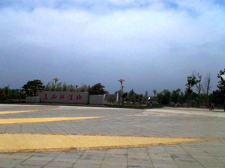 山東省旅游局正式批準(zhǔn)汶上蓮花湖濕地為國家3A級(jí)旅游景區(qū)