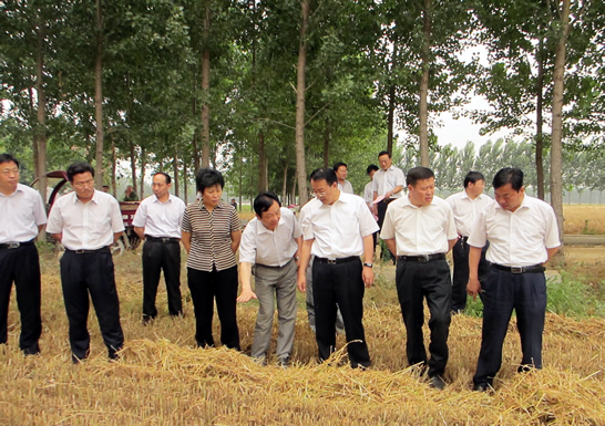 趙東升、孫琪分別到康驛鎮(zhèn)、汶上鎮(zhèn)、南站鎮(zhèn)等鄉(xiāng)鎮(zhèn)督導(dǎo)檢查三夏生產(chǎn)和秸桿禁燒工作