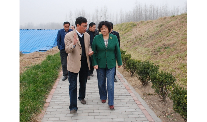 濟寧市文物局局長孫美榮到汶上督導(dǎo)大運河保護(hù)和申遺工作