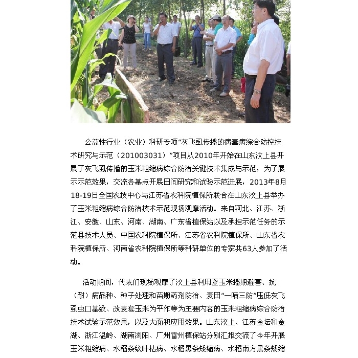 “玉米粗縮病綜合防治技術(shù)示范現(xiàn)場(chǎng)觀摩活動(dòng)”在山東汶上縣舉辦