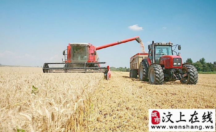 汶上四萬余現(xiàn)代農(nóng)機(jī)戰(zhàn)“三夏”