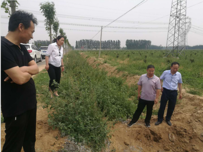 汶上縣人民政府 部門動態(tài) 縣交通運(yùn)輸局召開南郭公路掃尾工程建設(shè)工作推進(jìn)會