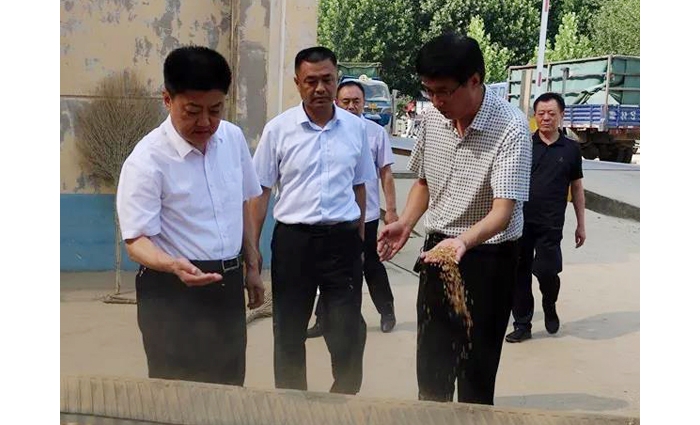 汶上縣人民政府 政務(wù)要聞 縣委常委、副縣長(zhǎng)王洪正督導(dǎo)檢查夏糧收購(gòu)工作