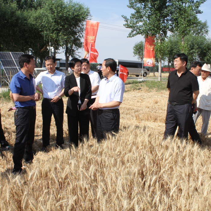 汶上縣人民政府 政務(wù)要聞 市委副書記、市長(zhǎng)石光亮來汶上縣視察“三夏”生產(chǎn)和秸稈禁燒 ...