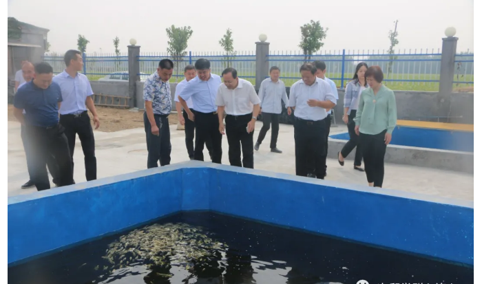 省國(guó)資委黨委委員、副主任，機(jī)關(guān)黨委書記尹剛到次邱鎮(zhèn)調(diào)研指導(dǎo)省派鄉(xiāng)村振興服務(wù)隊(duì)工作